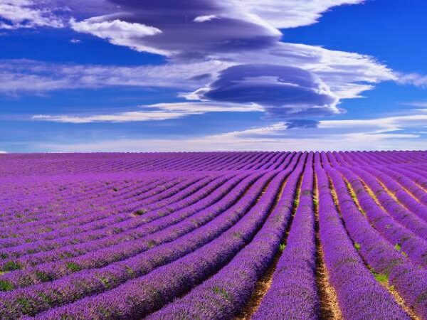 Descubre la Albacete más fotogénica: lugares para Instagram