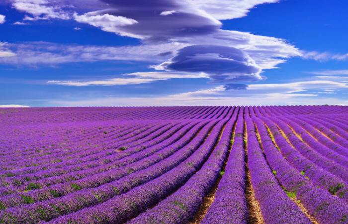 Descubre la Albacete más fotogénica: lugares para Instagram