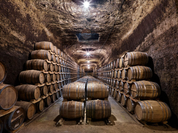 Ruta por las mejores bodegas de la provincia de Albacete