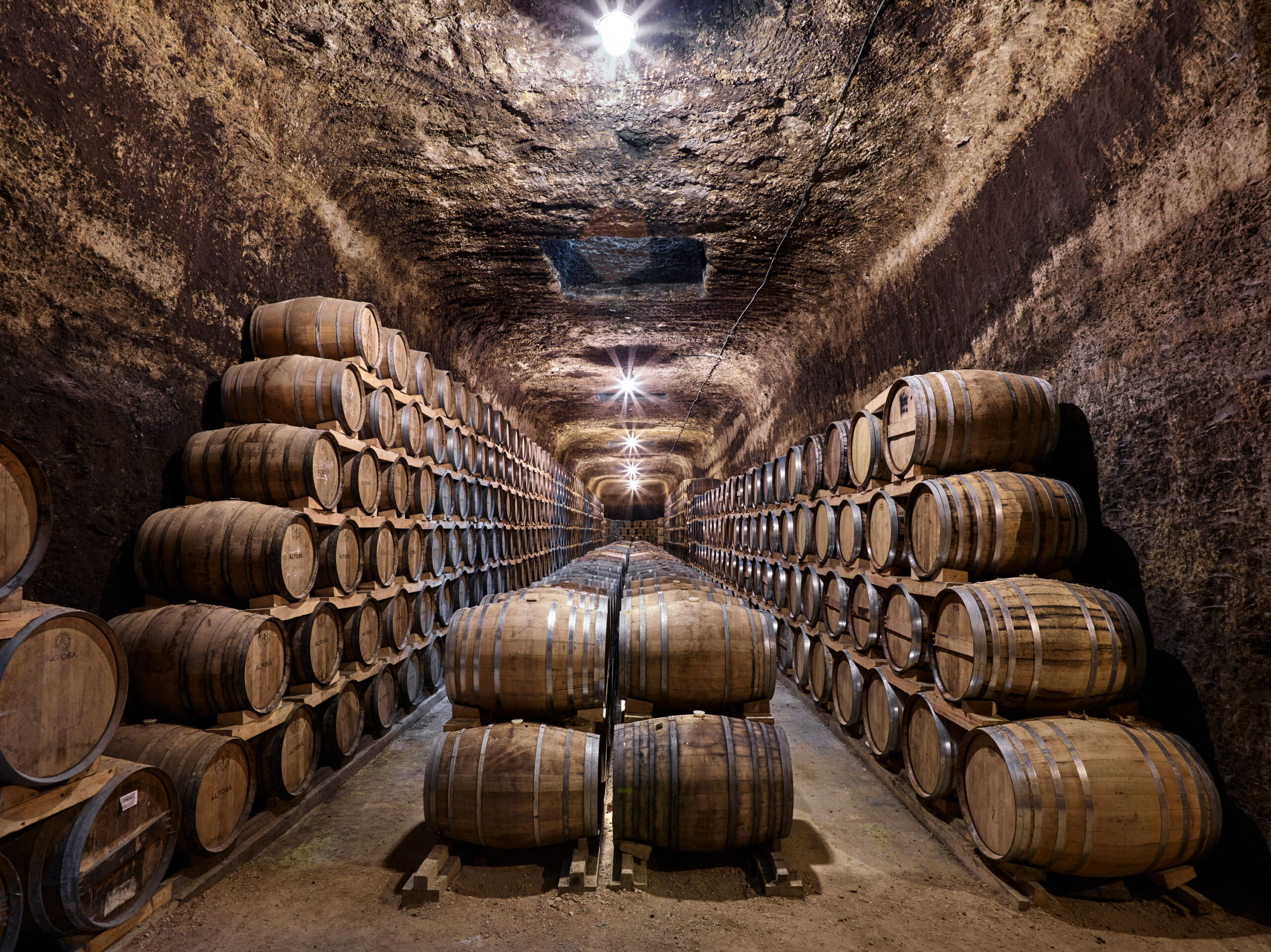 Ruta por las mejores bodegas de la provincia de Albacete